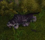 KrasariStalker