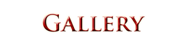 Dgallery