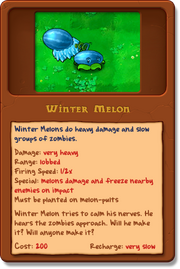 New Winter-Melon almanac