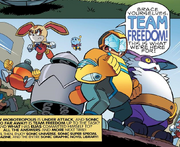 Team Freedom-1-