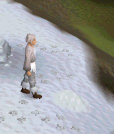Tracking kebbits