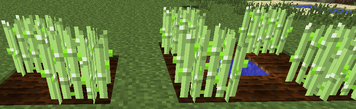 Crops Level