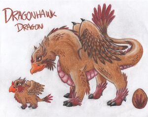 DragonHawk Dragon WTL