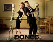 Bones.jpg