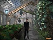 Greenhouse