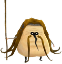 Kyu Hermitaño SS