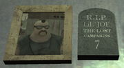 Lil' joe