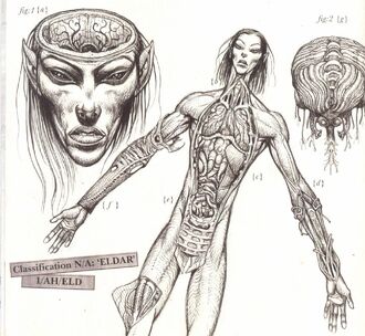 Eldar disección wikihammer