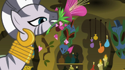 Heart's Desire Zecora S2E06