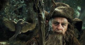 Radagast-bird