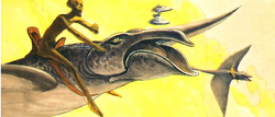 Thranta riding