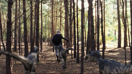 3x10juvenileRaptorsChaseAbbyInCretaceous