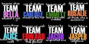 Team twilight