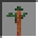 Sequoia Sapling