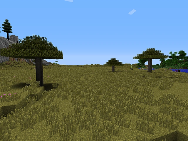 Savanna.png