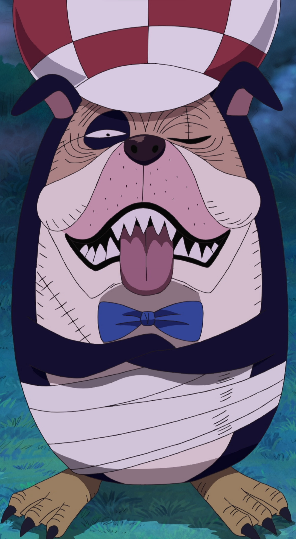 http://static1.wikia.nocookie.net/__cb20130219133538/onepiece/images/2/2c/Inuppe_Anime_Infobox.png