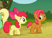 MLP 309 08-570x420