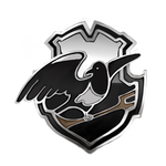 Montrose-magpie-quidditch-badge-lrg
