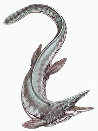 cretaceous epoch