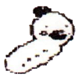 Kokana