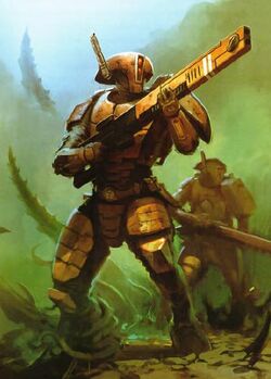 Tau Fire Warriors