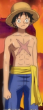 Luffy punk hazard