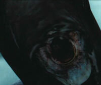 Dementor's kiss