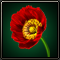 Life rune