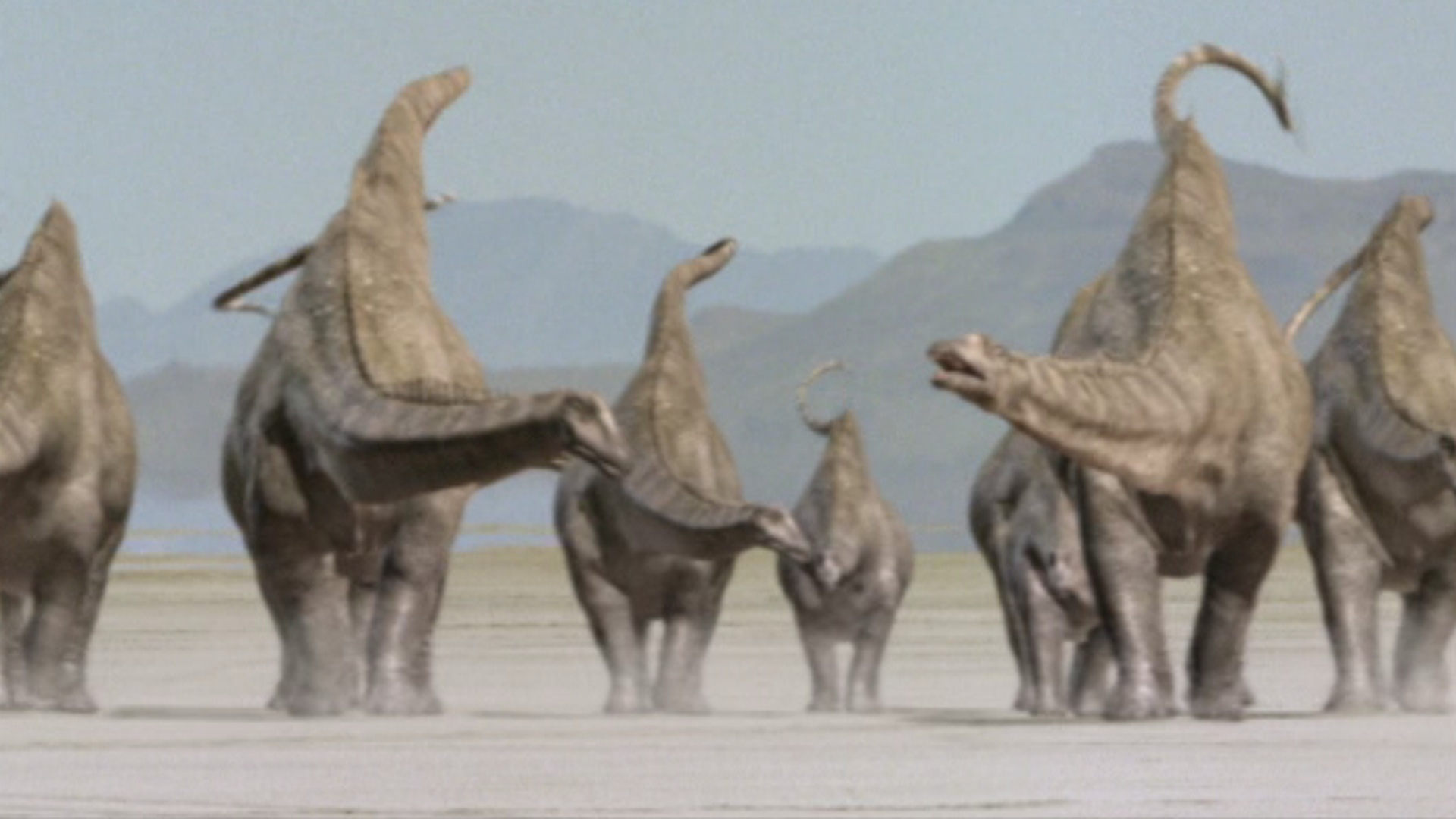 giant diplodocus