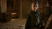 Lord Snow Arya Needle