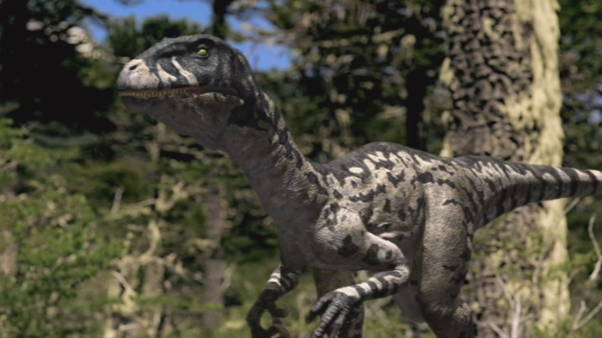 walking with dinosaurs dromaeosaurus