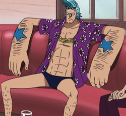 Tripulação Mugiwara 250px-Franky_Anime_Pre_Timeskip_Infobox