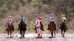War Horses