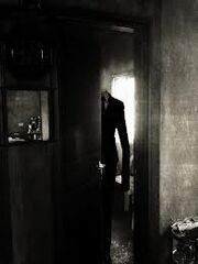 Images (21)