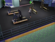 La parca haciendo deporte