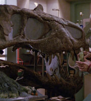 Tyrannosaurus rex