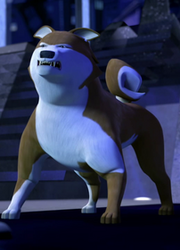Hatchiko01