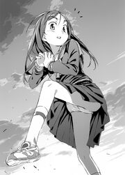 Index v14 033