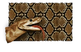 Python_Skin_Paint.png