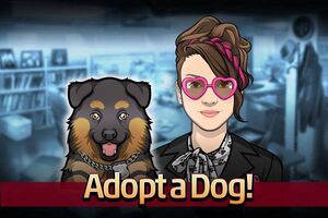 Adopt a Dog