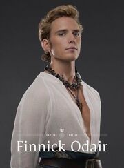 Finnick capitolportrait