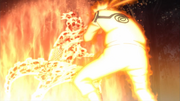 Roshi vs. Naruto