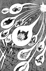 Zodiac Force