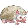 Speedy