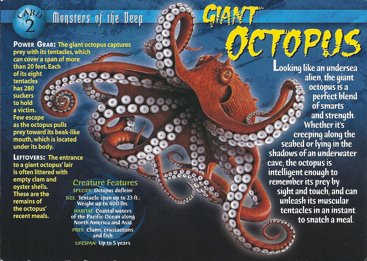 giant angry happy octopus