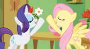 Rarity and fluttershy by sami896968-d50sv41