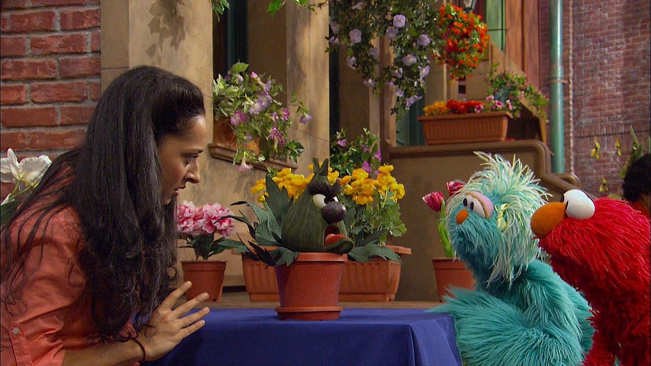 Episode 4403 Muppet Wiki