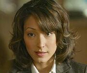 Christinachang westwing 240