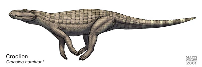 Spec Crocodylia Speculative Evolution Wiki