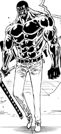 Vergo Full Body Haki